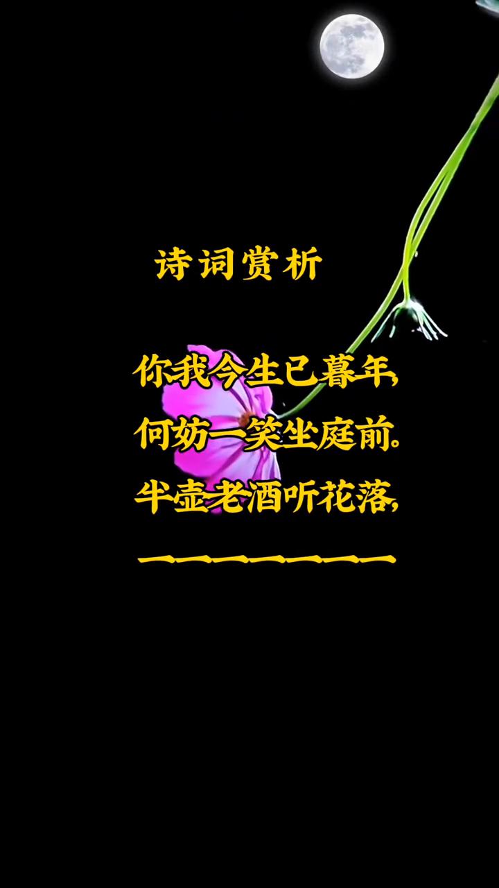 诗词赏析。
你我今生已暮年，何妨一笑坐庭前。
半壶老酒听花落，何妨一笑坐庭前。