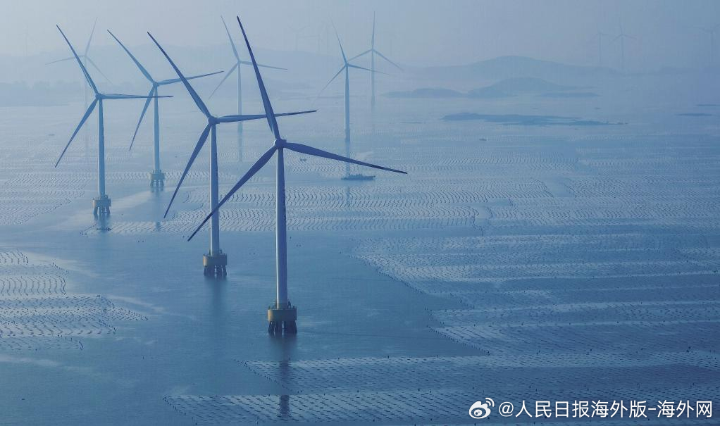 #海外网评#【绘就美丽中国的“十五五”答卷】“法典涵盖污染控制等发展内容，展现了