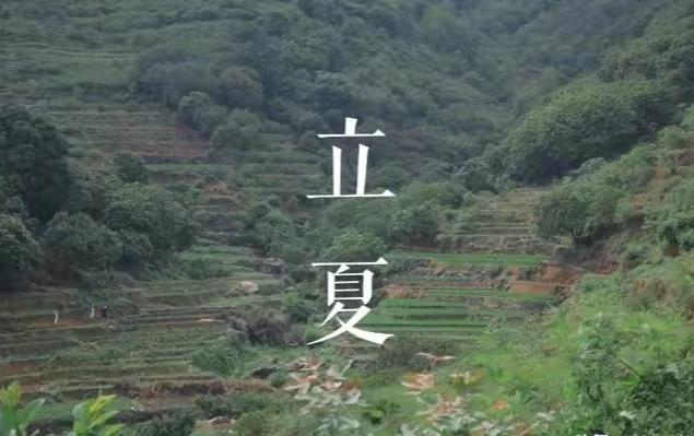 今日立夏，偶有小雨落下，是那一种淅淅沥沥，如诉如织的雨落，犹如清晰的一股清流沁入