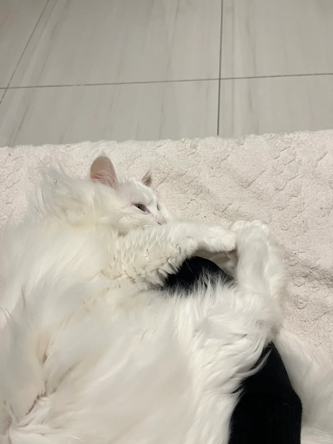 暖宝宝