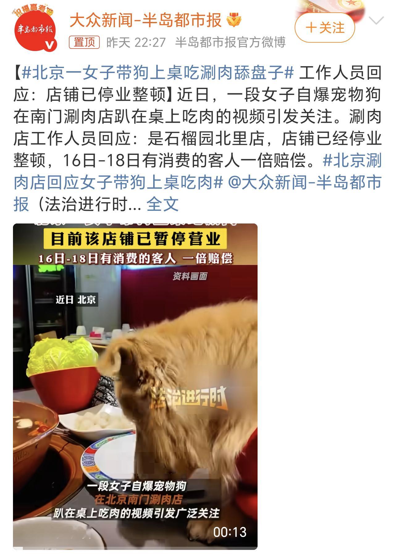 北京一女子带狗上桌吃涮肉舔盘子这也太不卫生了吧，感觉和不久前那两个人往海底捞火锅