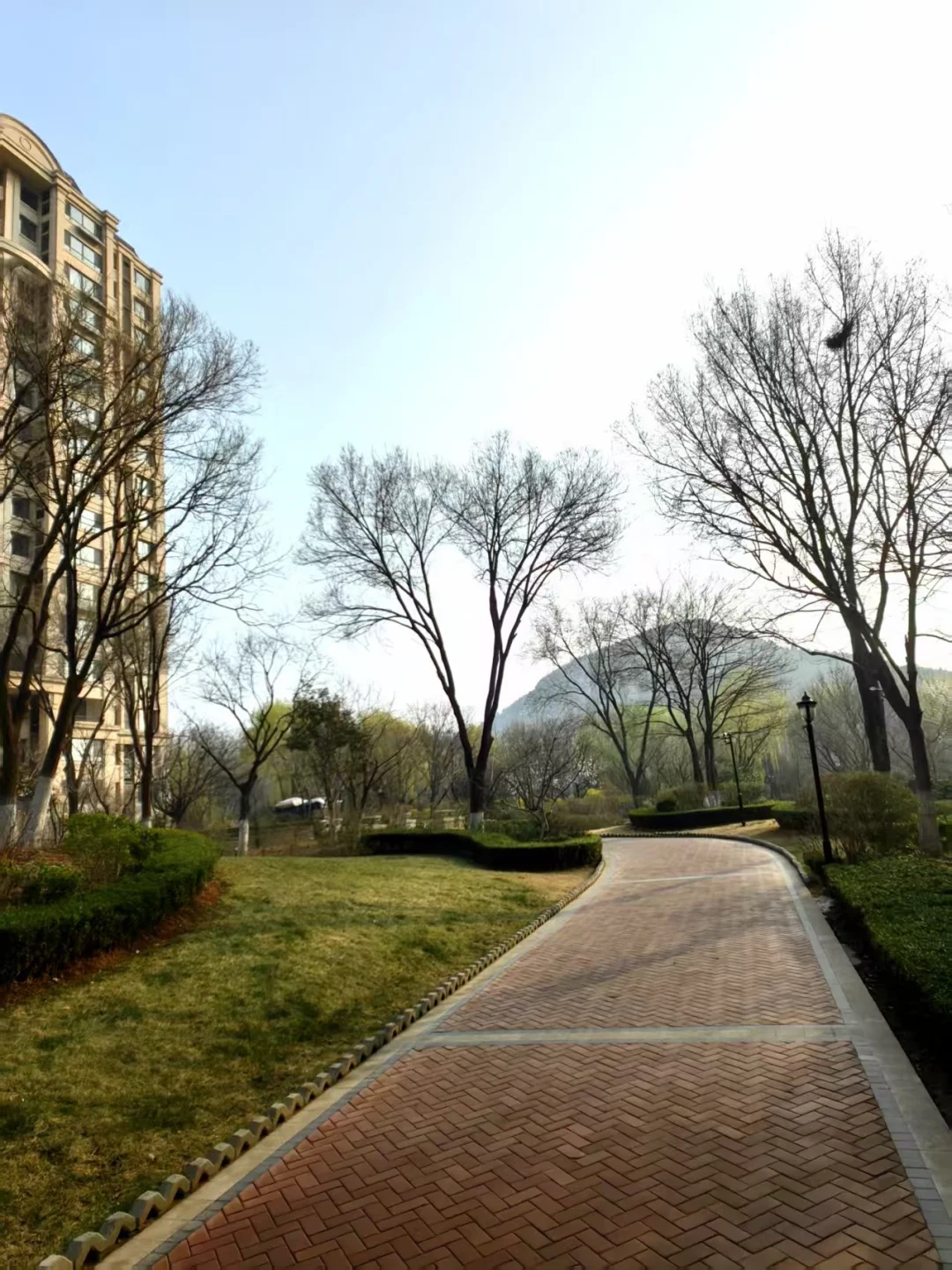 心理健康是有代价的。 你需要接受的最重要的一点就是：你不再是别人嘴里...