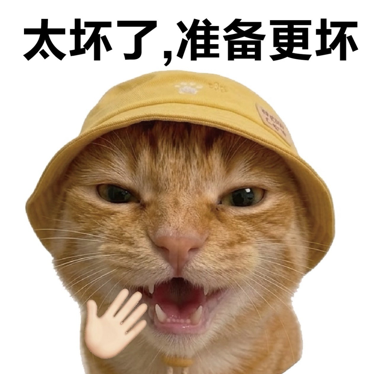 你们不要带节凑，小心我载图出去，下次双商你们不氟金，我就给你们发配曼古！ （参考