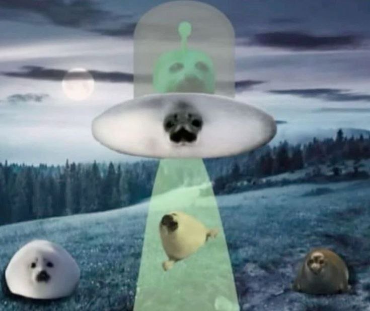 啊哦 啊哦 欢迎来到 ufo的世界 ​​​