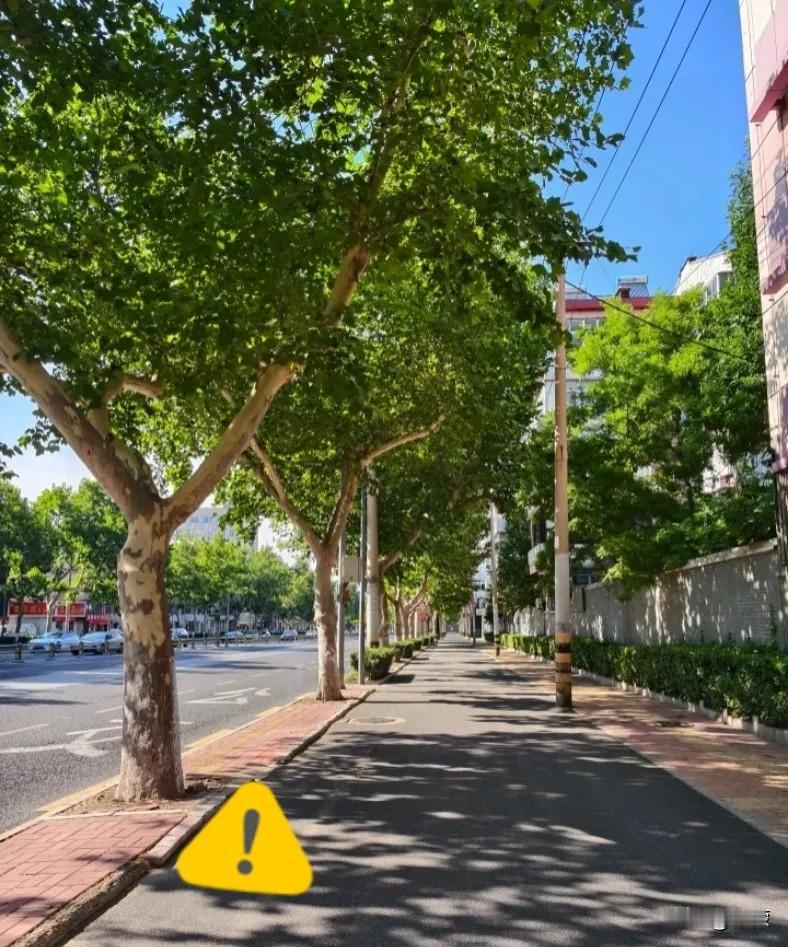 提前预警！8月7日19点43分立秋，晚立秋已定局，接下来的天气要心里有数。
 