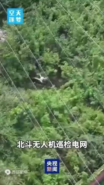 北斗已把生活“卷”到厘米级！中国人的精准自由，藏在每一寸日常里

导航不再飘、停