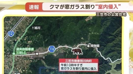 💥北海道突发！奶奶👵🏻洗衣时熊私闯民宅🐻
9月16日上午（10点30左右