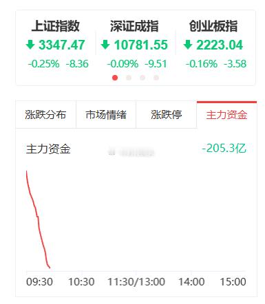 开盘不到30分钟，内资大幅流出超2百亿元，内资天天砸盘，不好搞啊！大盘冲高回落以