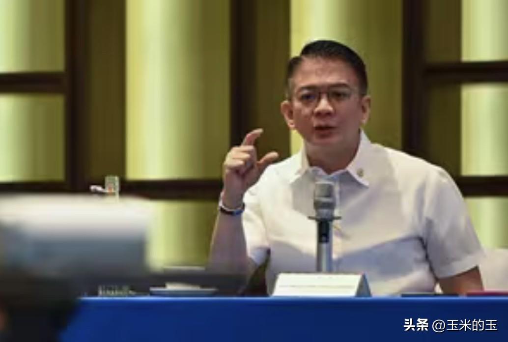 菲律宾参议院弹劾法庭发言人雷金纳德·通戈尔律师表示，参议员弗朗西斯·“奇兹”·埃
