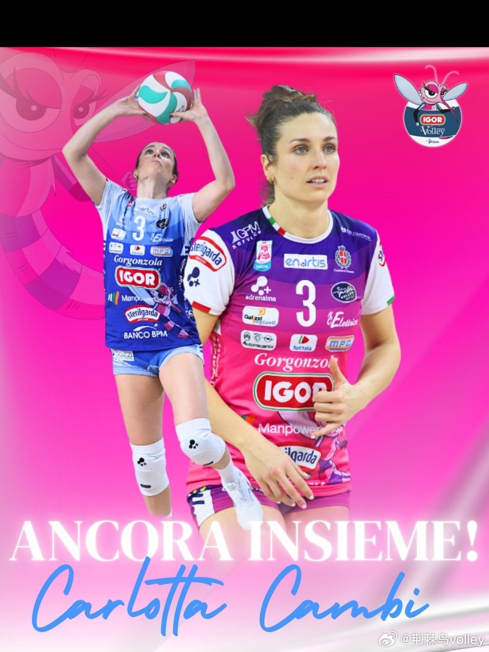 诺瓦拉宣布与二传卡洛塔·坎比续约。女排意大利女排联赛荆棘鸟volley