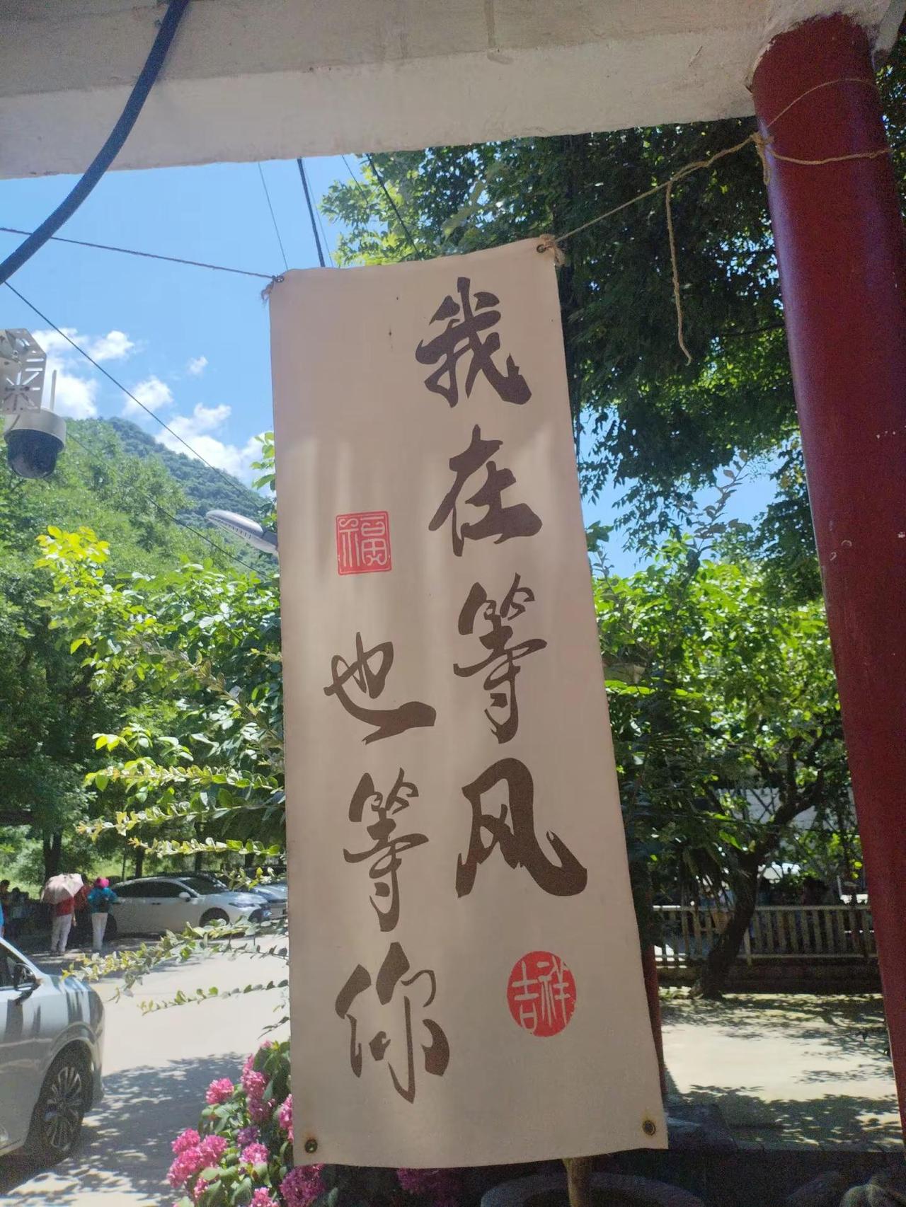 与ai同行 走进大自然放松心情