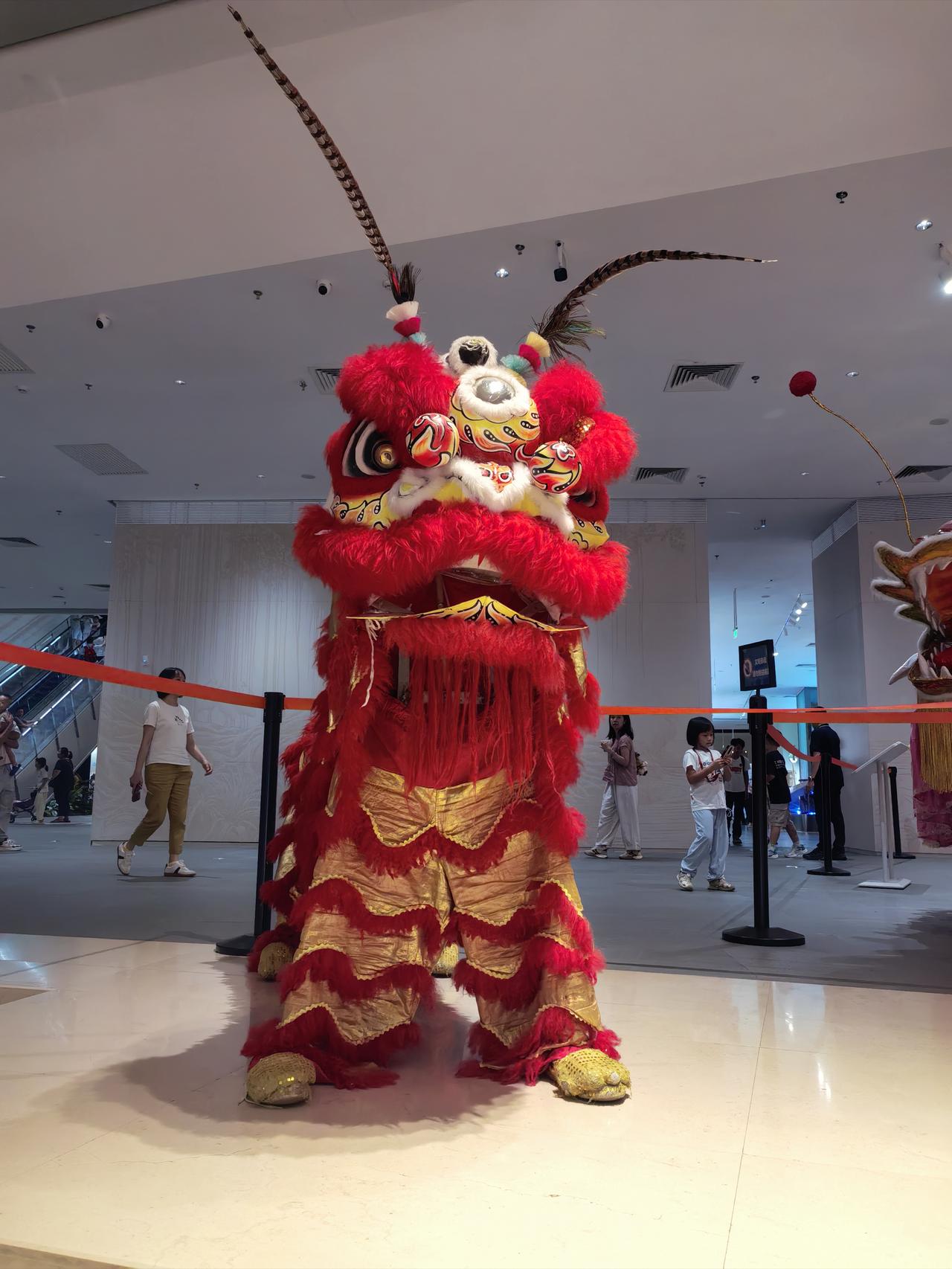 加入作者加速成长计划，正式开启我的头条创作之旅！🎉

大家好，我是广东黑牛哥，