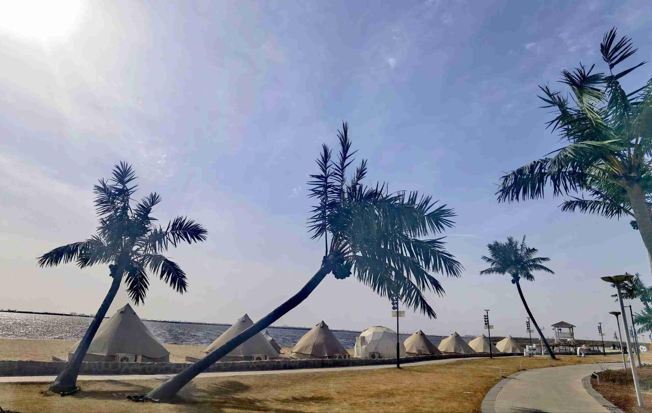 我的今日状态：😁轻松愉快
我这里的天气：☀️晴天