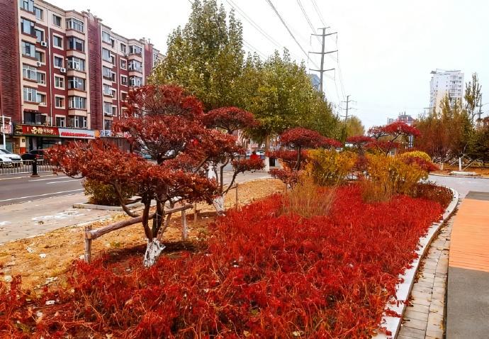 【长春市北海路和金川街交会附近新增一个口袋公园】经开区“海纳百川”口袋公园，位于