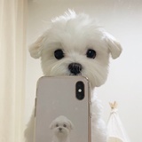 小嗯嗯热品影视剧