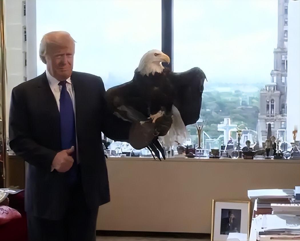 枪击惊魂未散，特朗普就突然对中国“软下来了”，这一反转瞬间引发全球关注，要知道过