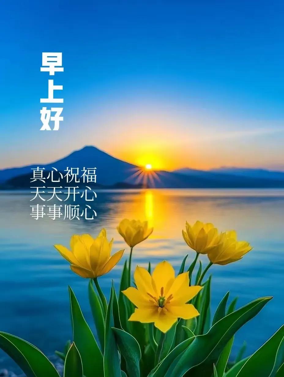 🌅 新的一天，早安美好！🌸💐🌻