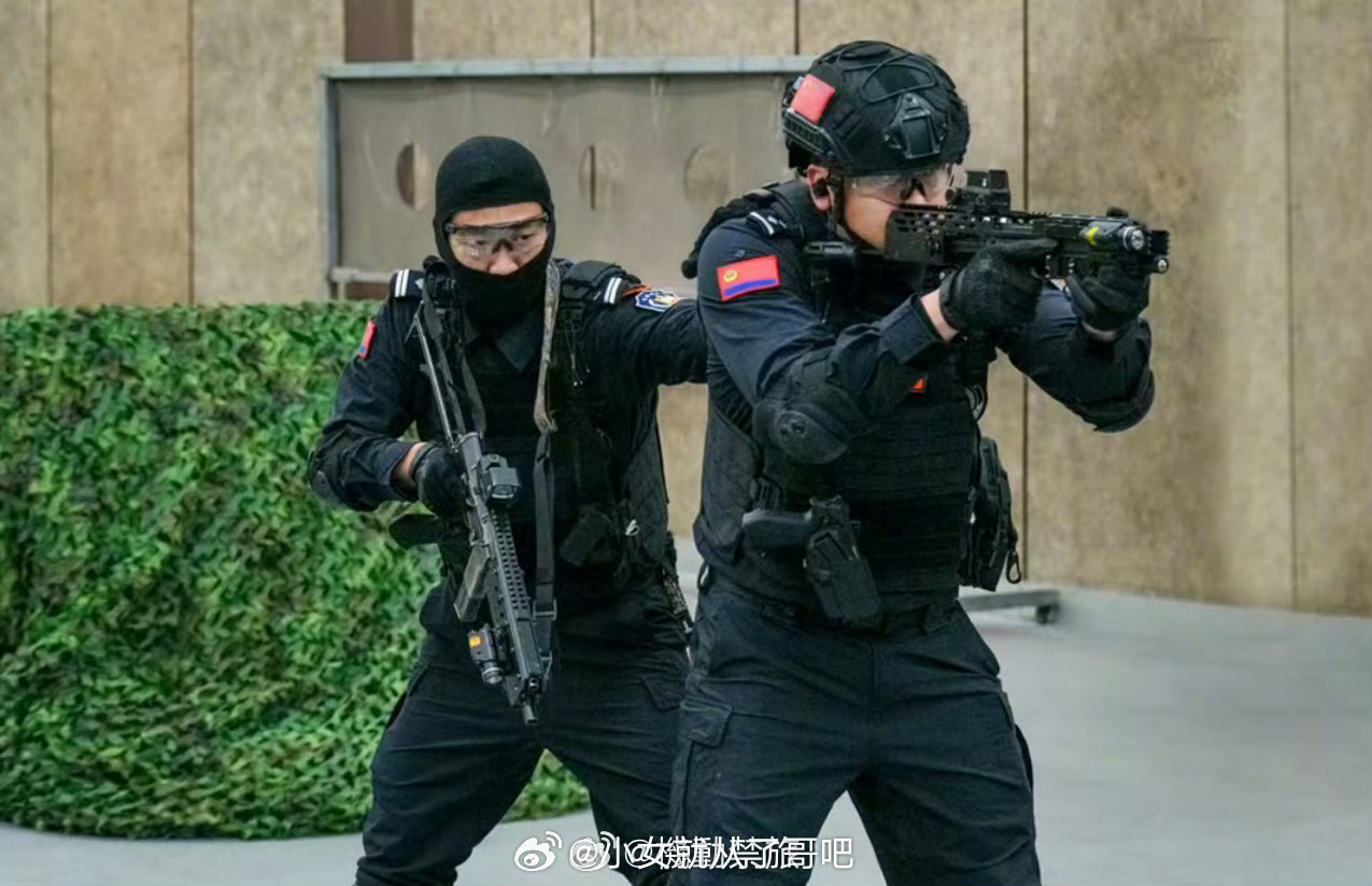 又是这款不认识的79冲皮轨套件，这次能从铭文印记看出型号叫Viper PDF，暂