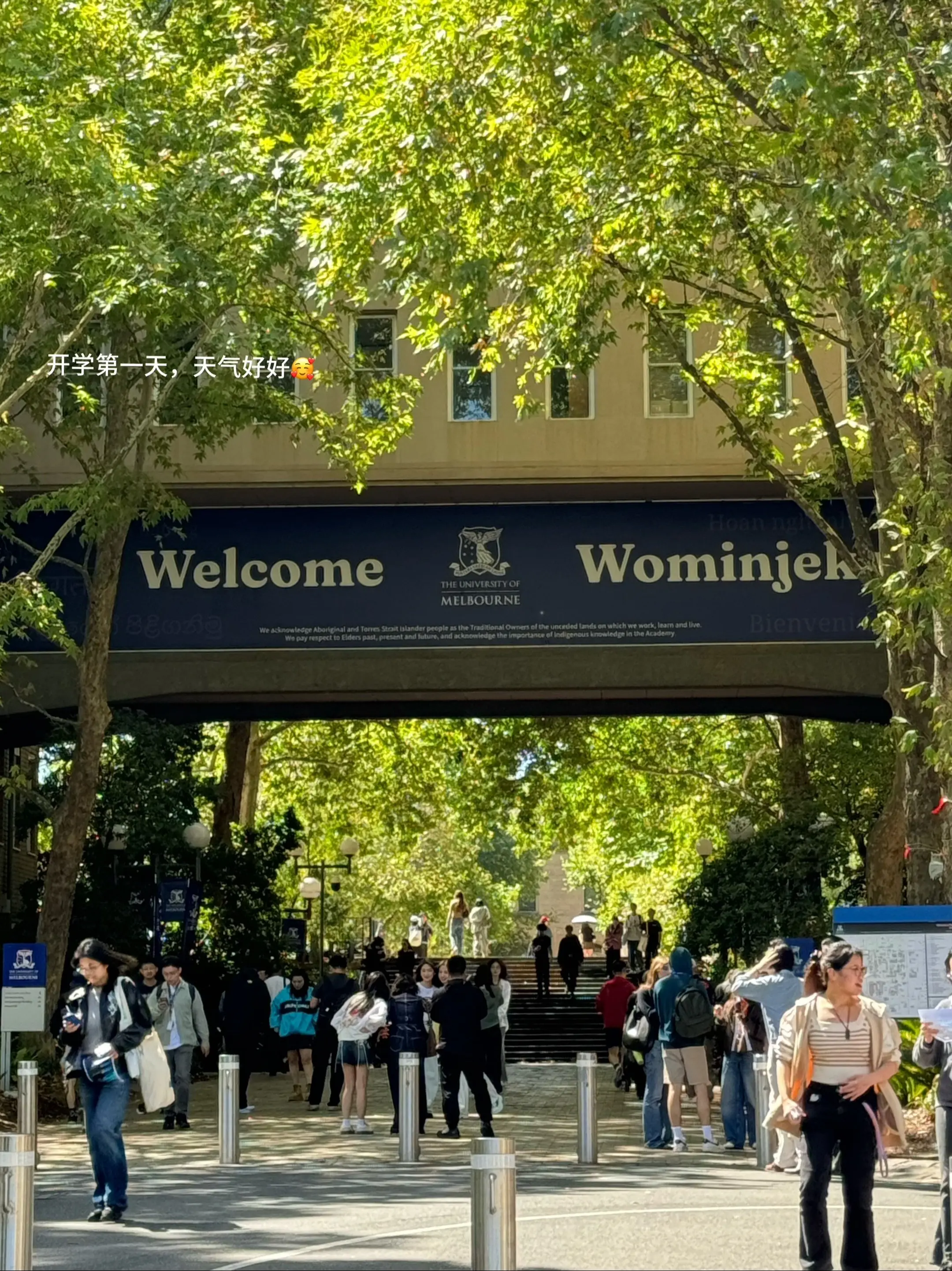 🇦🇺学生时代进入尾声