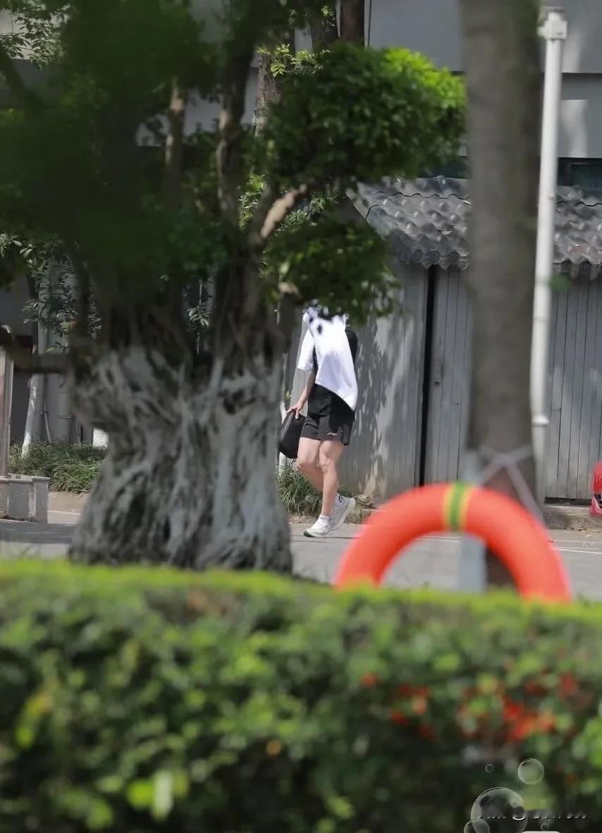 5月3日份马龙副主席！我们龙副主席也是练上了！
苏州龙跃十周年 ，男子乒乓球界从