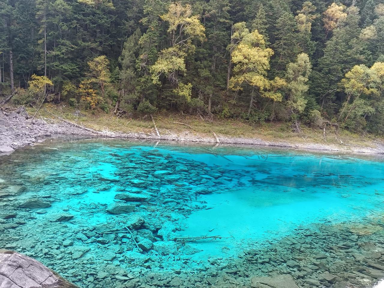 九寨沟的两个痛点是诺日郎中心和五彩池。诺日郎中心作为交通交换点应该把去三个方向的