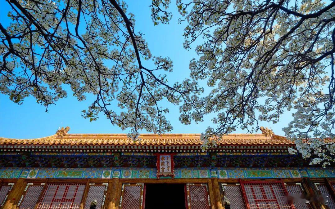 崇祯皇帝最喜欢的田贵妃曾经居住在承乾宫。田贵妃性情谦和、沉默寡言，精通音律、擅长