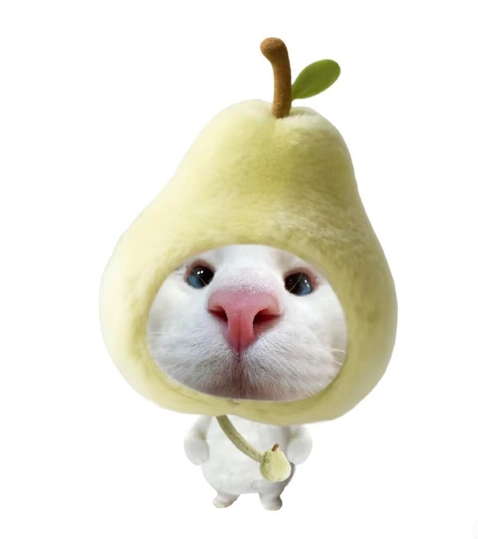 水果猫咪头像 ​​​