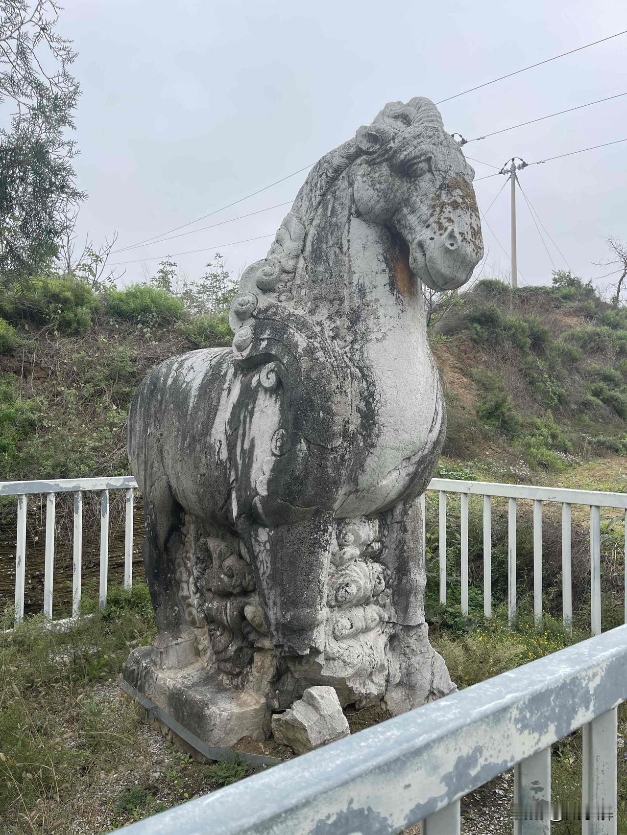 寻狮之旅：谁偷走了唐肃宗帝陵的守护神？
2010年，唐建陵一对守护了千年的石狮在