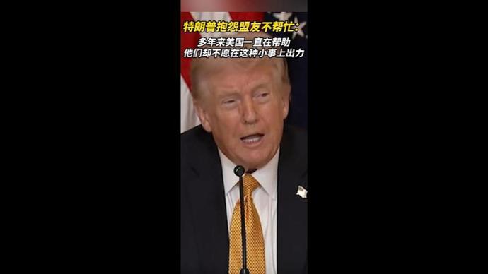 特朗普没想到
特朗普要求北约、日本、韓国、澳大利亚等盟友派军舰参与霍尔木兹海峽护