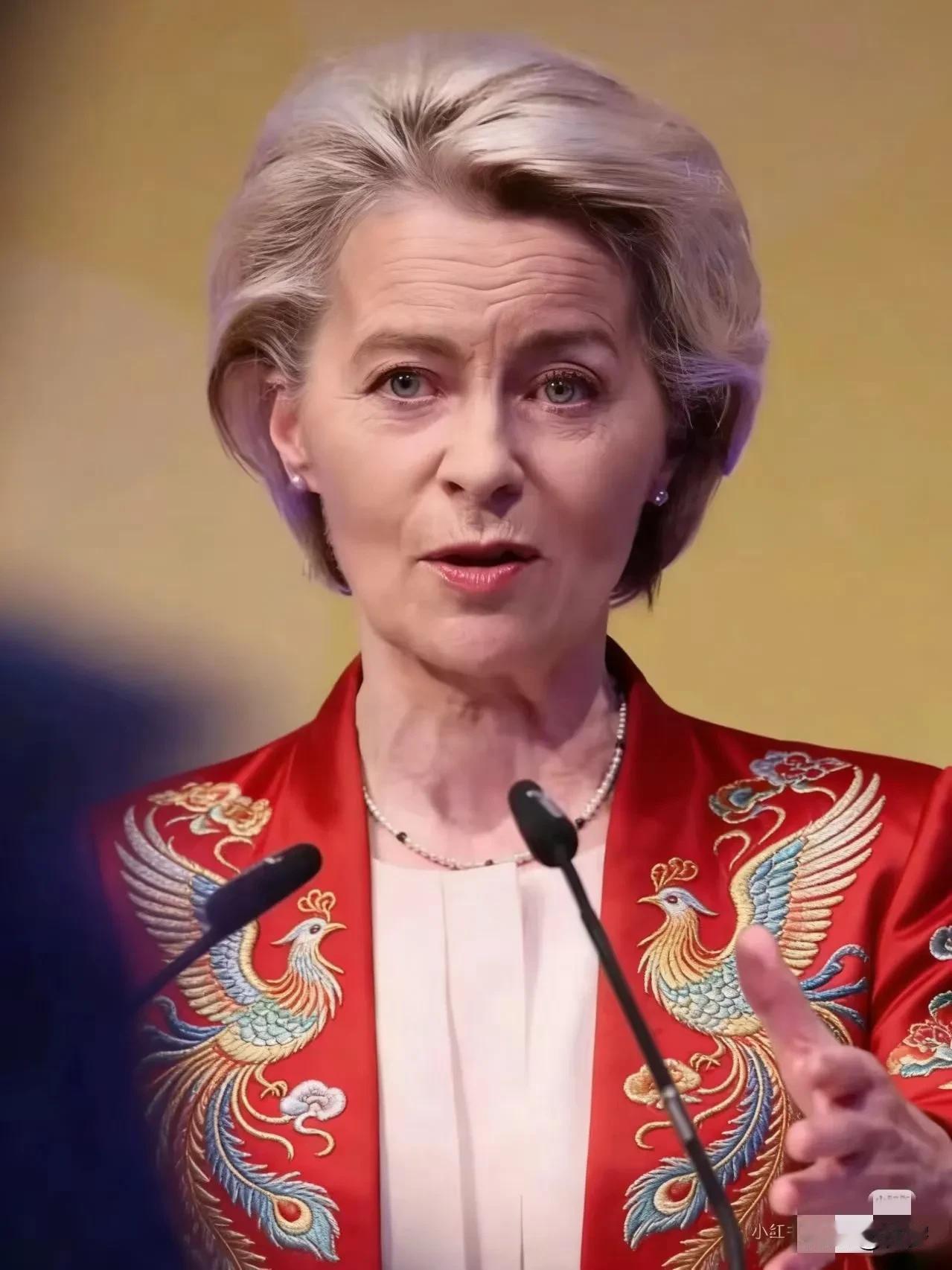 欧盟援助乌克兰最新消息！
12月6日欧盟委员会宣布，计划在2026年上半年发行约