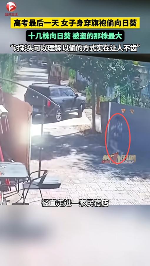 “丢人丢大了！”6月9日，河北保定，一辆黑车停在了民宿门口，车上下来一位穿旗袍的