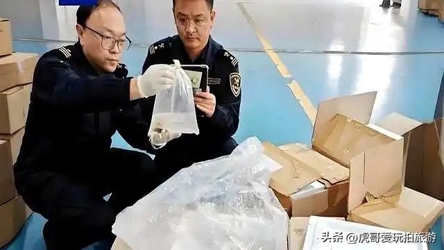 两日本人因走私稀土被抓，看来管控措施真的起作用了

两名日本人因涉嫌从中国走私稀