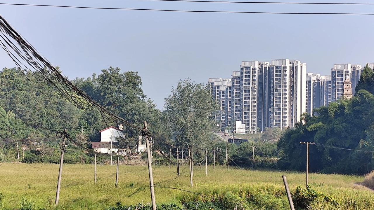 秋日生活打卡季乡村风景欣赏分享你随手拍出来的美景