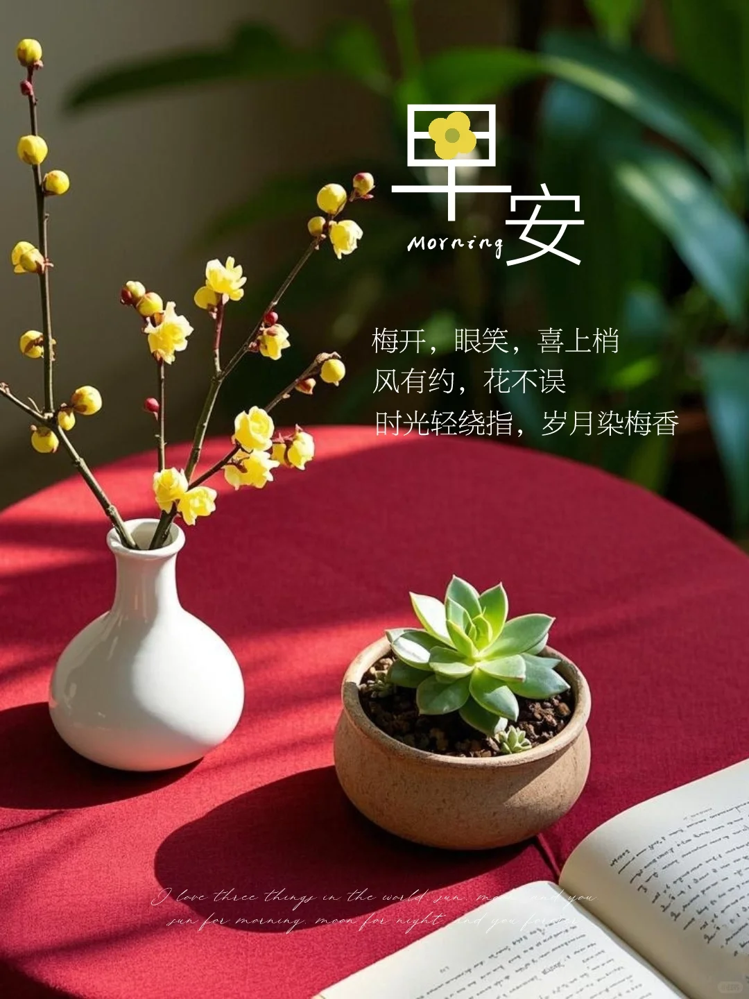 腊梅｜早安日签｜小众文案｜早安海报