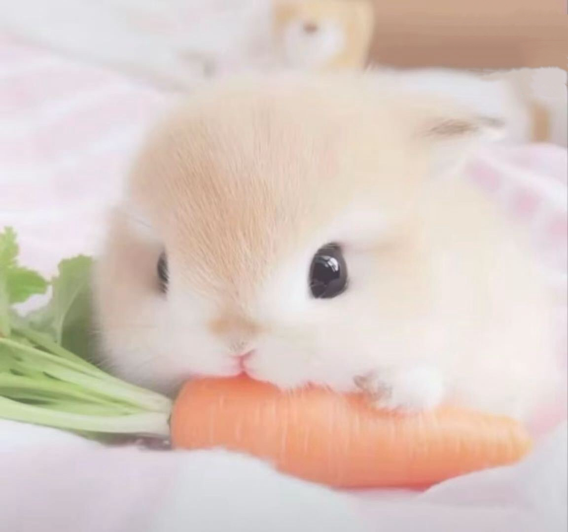缘分测gct专用hello？ ​​​