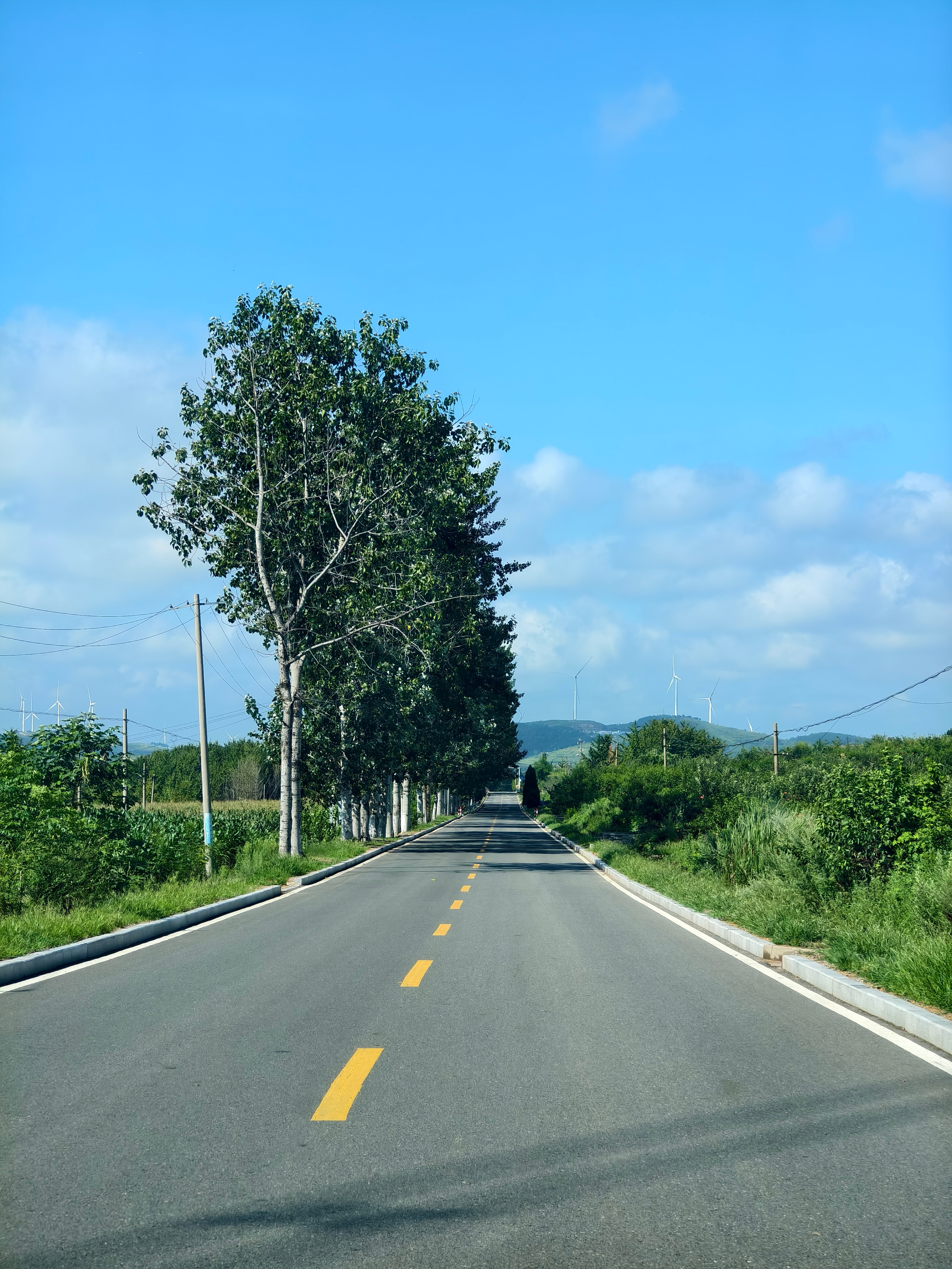 早，独享一条乡间小路。不赶集的话，路上是真没啥人和车。  ​​​