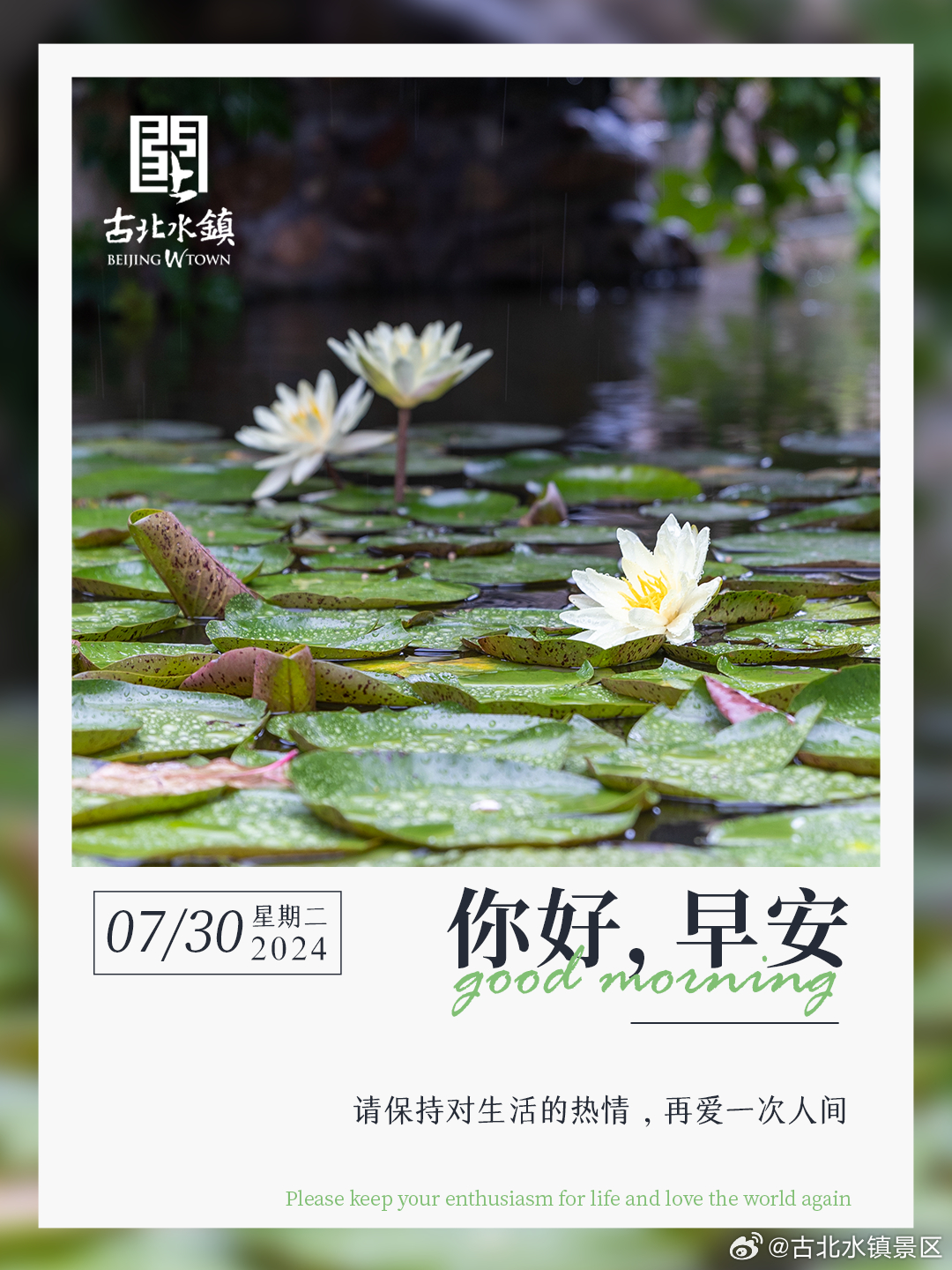 请保持对生活的热情，再爱一次人间早安，宝子们~#长城下的星空小镇# #很高兴在古