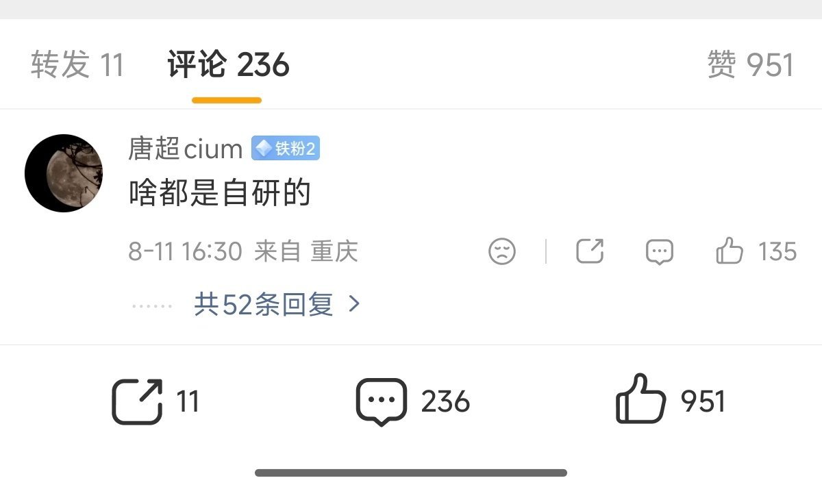 世界第一大未解之谜为什么只有小米和别人合作能赛道跑出成绩，能拿出大量研发成果