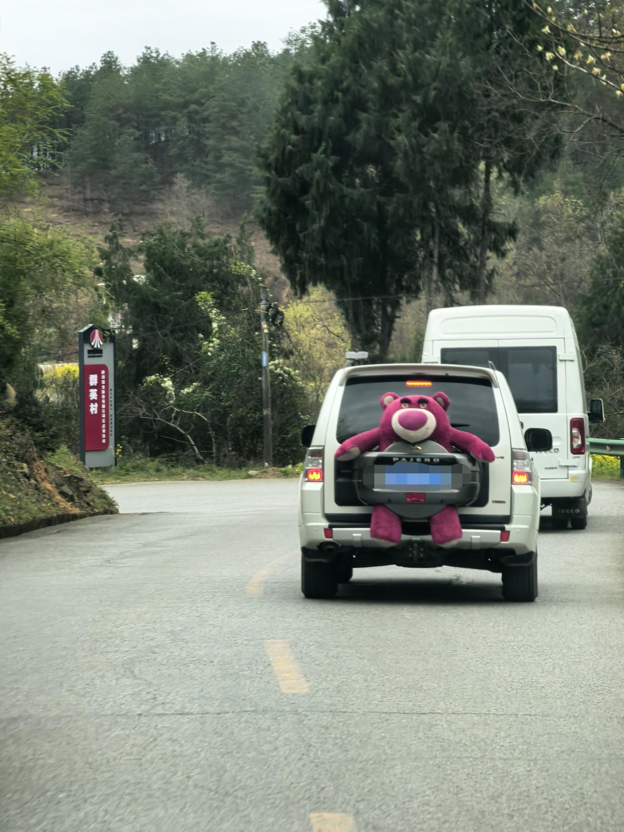 记录我的2026还是这届年轻人会玩，车后面背这么大个熊🐻，好淘气！[呲牙]