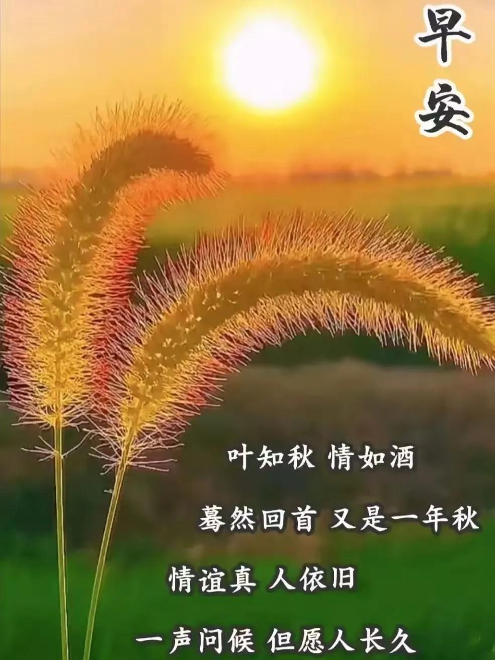 远山知我意，带我到山巅。
风寒且日暖，自由又自在！