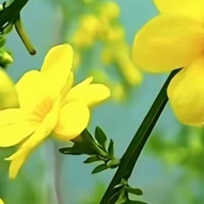 无论外面的风景如何，都要在自己的心里种花，让心有花开，才能满怀皆是春色，满心皆是