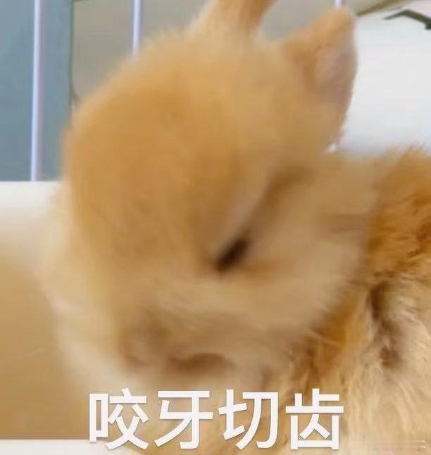 最幸运的那年，直播间算上我和我朋友只有4个人，我俩都没中 