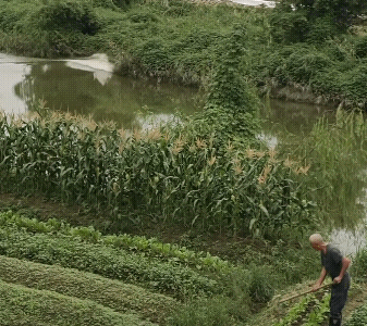 汹涌的潮汐![赞]