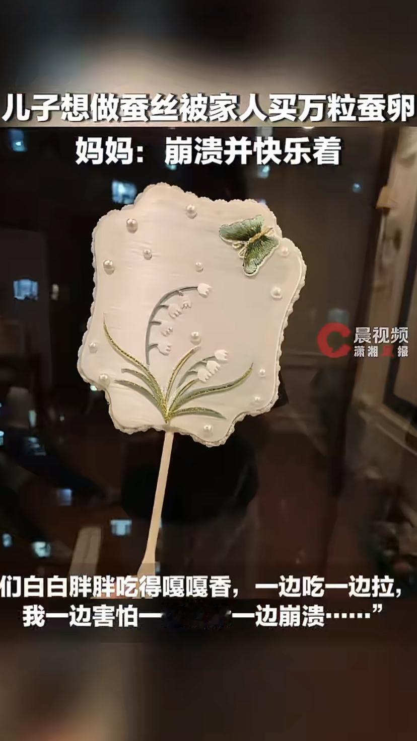 为了给娃圆一个"蚕丝被梦"，杭州阮女士一家干了一件大事：直接网购了1万粒蚕卵，开