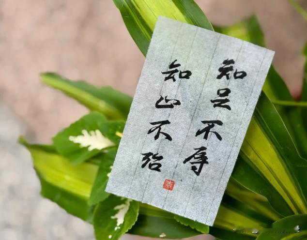 心里装着明天的光亮，日子才不会过得慌张。眼里带着自强自爱的信念，生活即使平常也能