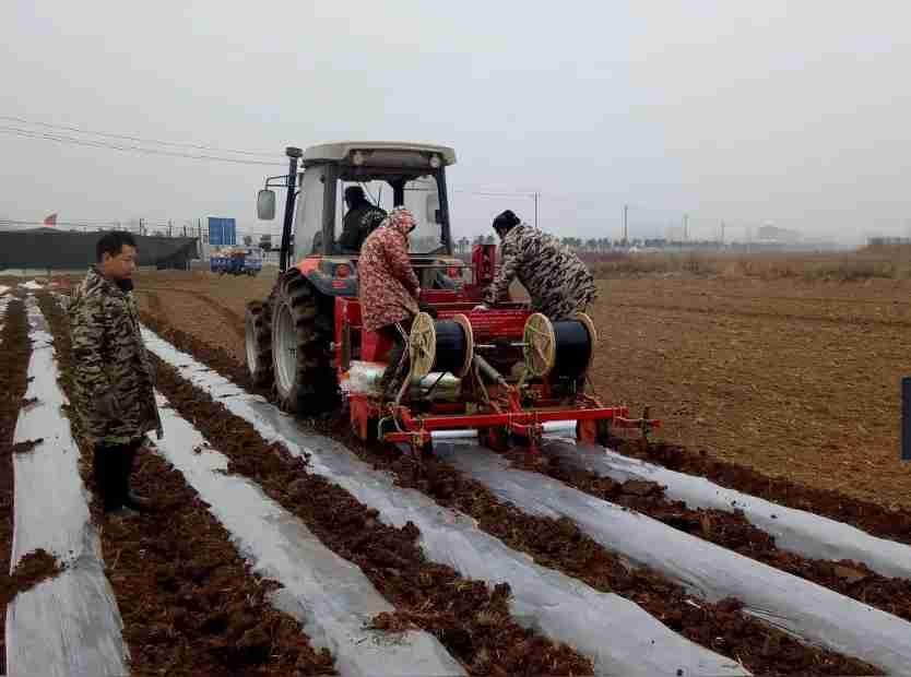 我的今日状态：💪🏻充满干劲
我这里的天气：🌤️多云，农户正在播种土豆，因为