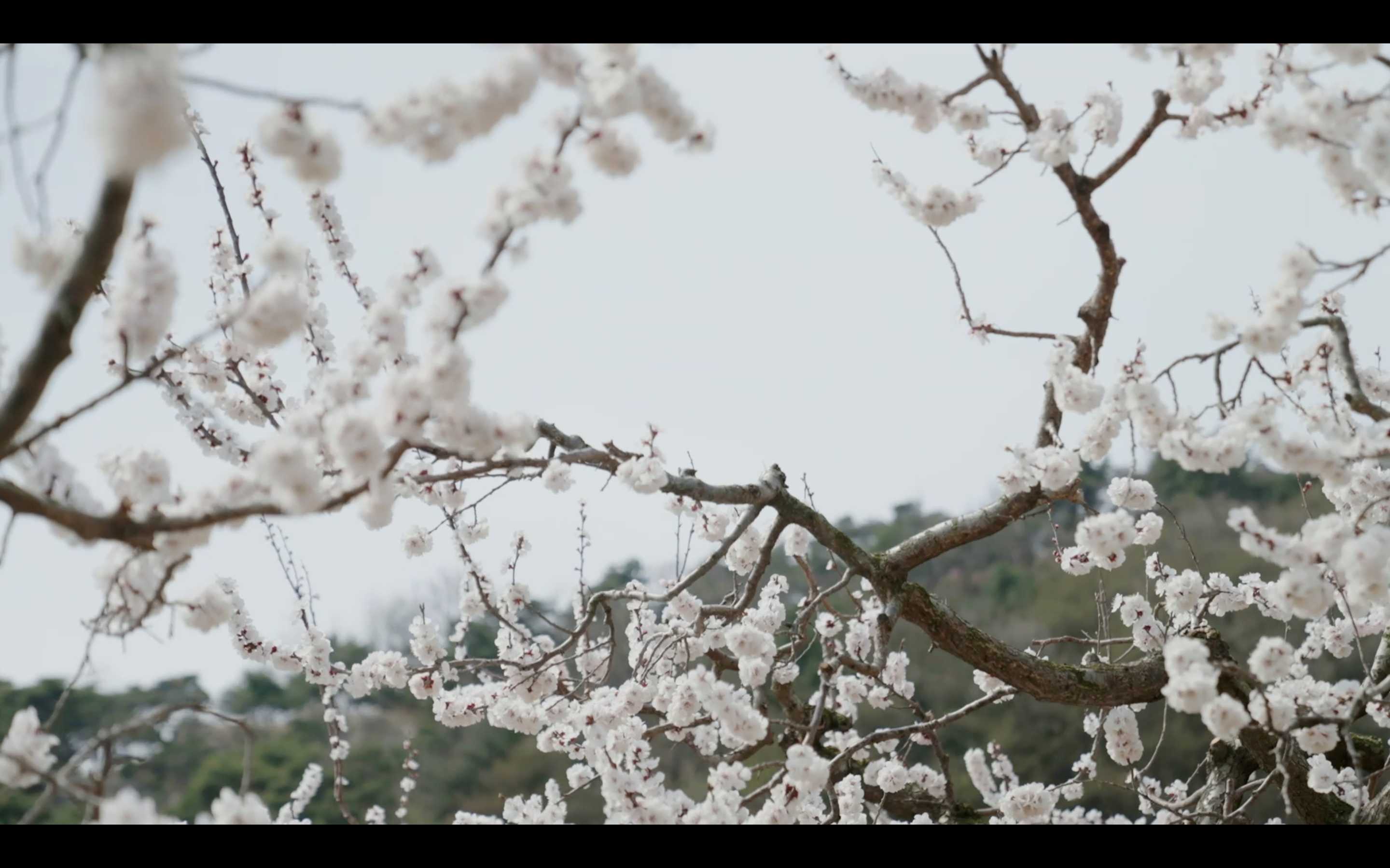 #跟着郭京飞逛被央媒点名的大孤山##郭京飞大孤山春游向导#原本以为是普通文旅拍摄