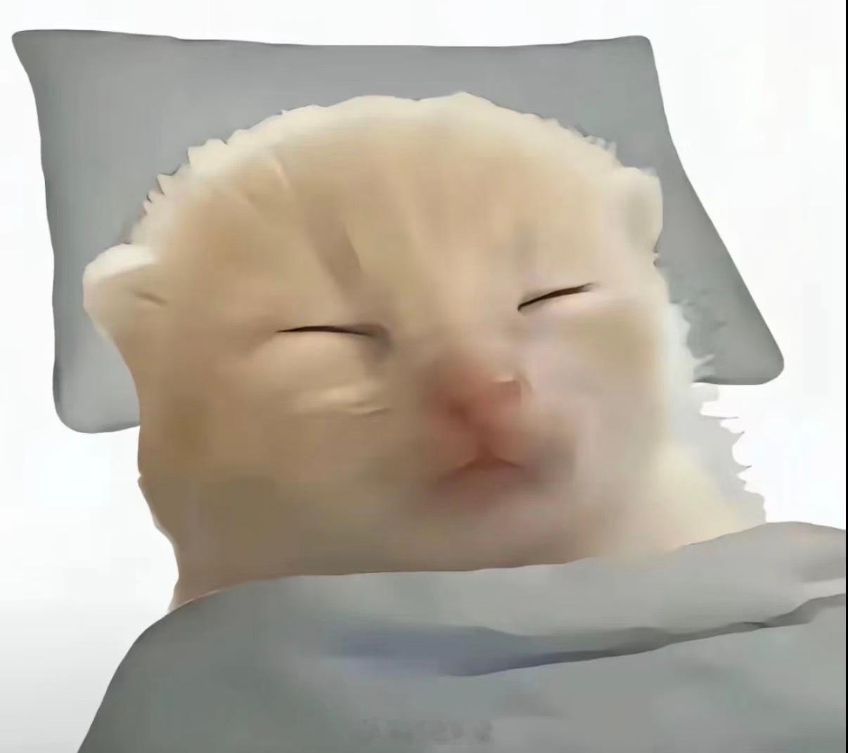 这三天一直在守夜没怎么睡，也三天没洗澡没洗头了，刚刚洗完躺在床上睡着了感觉好舒服