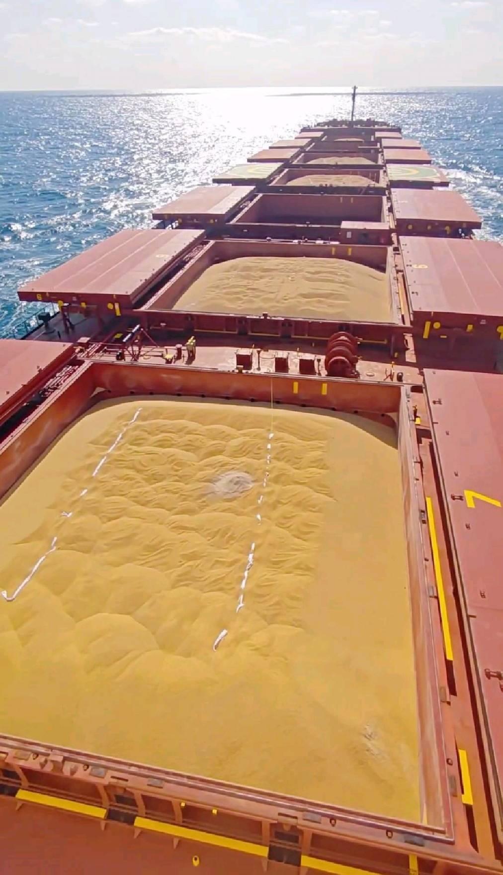 6.9万吨巴西大豆，满载到港，却被我们直接原路退回！为什么？

农药超标的麦粒混