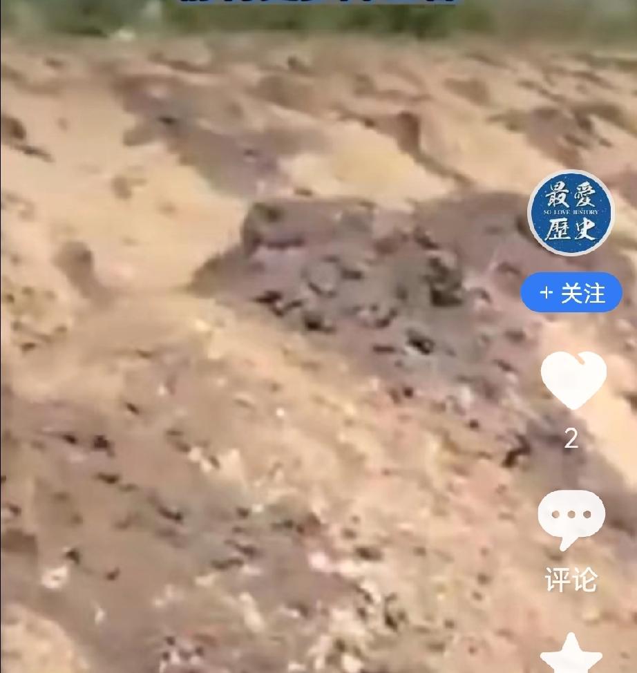 斯基宁肯给士兵准备新家，也不停战，也不想要士兵回旧家。只顾自己有家，且家中有珠宝